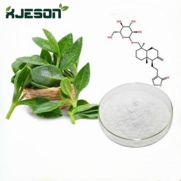 Premium Andrographolide API for Natural Wellness