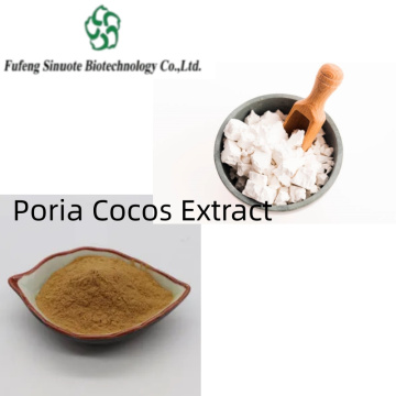 Organic Poria Cocos Extract - Natural Health Booster for All Ages
