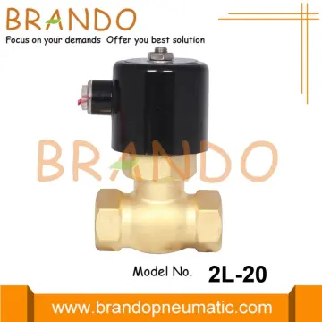 2L-20 3/4'' Brass Steam Hot Water Solenoid Valve