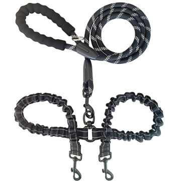 Dual bungee doub dog leash