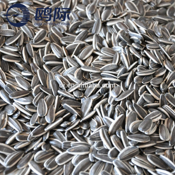 Hot sale China sunflower seeds