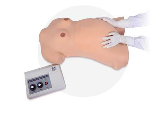 Advanced Maternity Examination Model