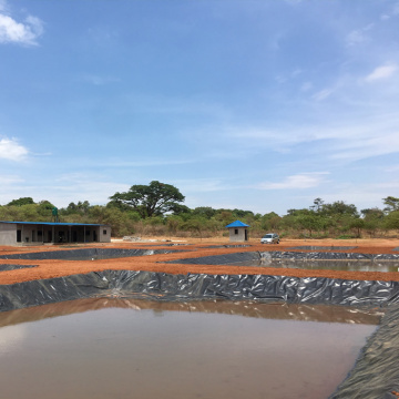 Pêche à la piste de piste de piste de géomembrane HDPE 0,75 mm