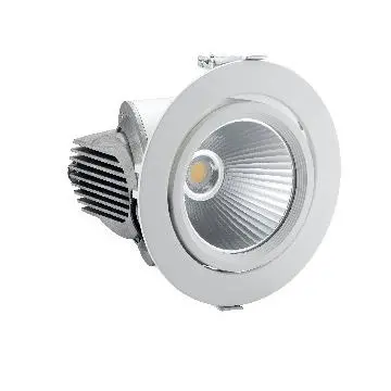 COB 30W Adjustable angle eye downlight