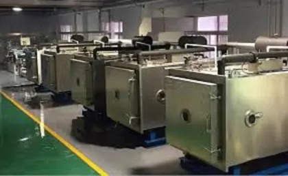 Vacuum Freeze Dryer Machine Freeze Dryer