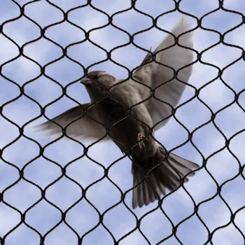 Heavy Duty Bird Netting 3/4" mesh