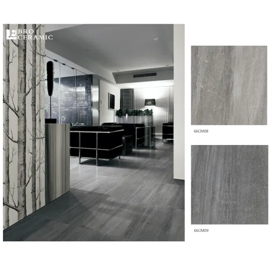 Ebro Ceramic 600x600mm Porcelain Floor Tiles in Guangzhou Style 66CM05