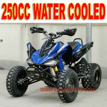 24HP 4 Valve 250cc Sports ATV