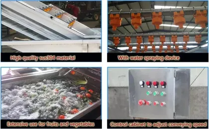 Orange Fruit Washing Machine 5 Ton