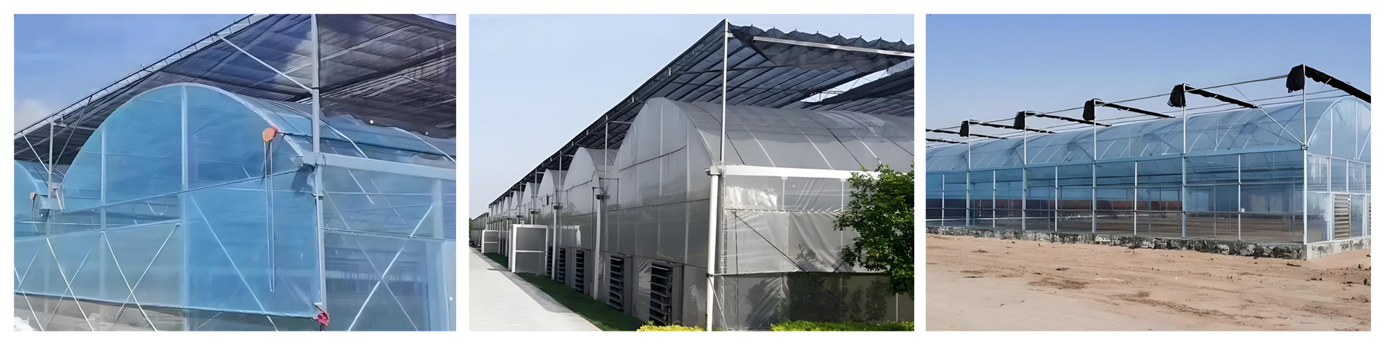 year-round cultivation of high-value-added crops