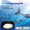 Halal 1000 Daltons Hydrolyzed Fish Collagen Peptide Powder