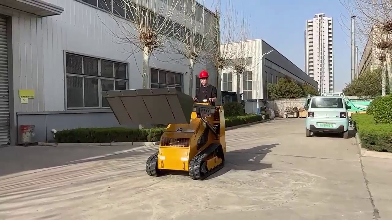 Mini Skid Steer Loader with Track for Sale