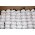 New Crop Pierwszy poziom Pure White Garlic