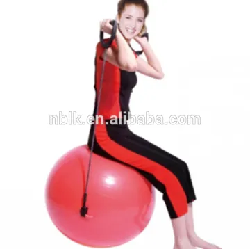 Yoga Exercise Ball with Pump and Expander