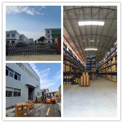 Hot Selling Silk Moth Extract Powder