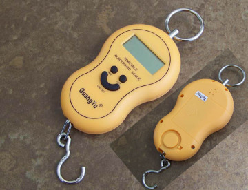 Portable Electronic Scale
