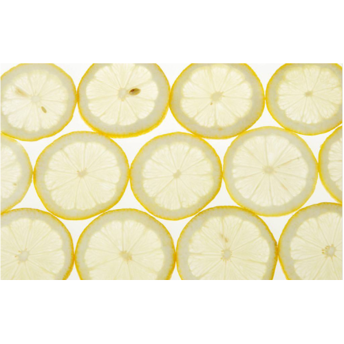 Secador de limón seco, buen color, alta calidad, secado rápido, más ahorro de energía