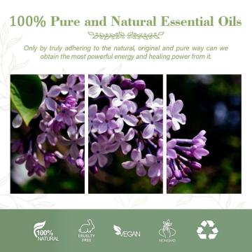 100% Pure Nature Essential Oil High Quality Clove Oil