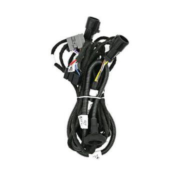 Cablaggio del sistema di controllo del gate automobilistico