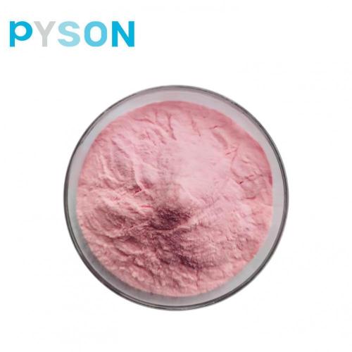 Natural cosmetic ingredients Acerola powder