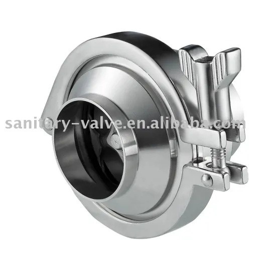 Stainless Steel Welded Check Valve