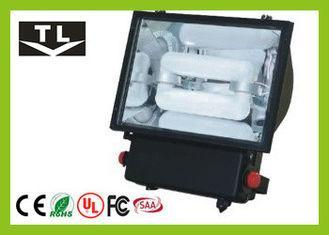 100W 150W 200 Watt Low Frequency Induction Flood Light / La