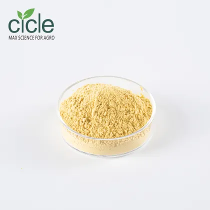 Willow Bark Salicin Extract 15%