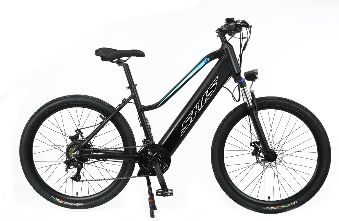 TW-5-1Carbon Frame Middle Motor MTB Ebike