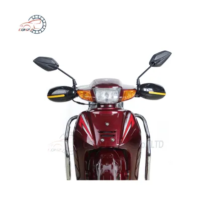 Universal Motorcycle Modified Parts: CQHZJ Handlebar Plastic Protection Beetle Handguards