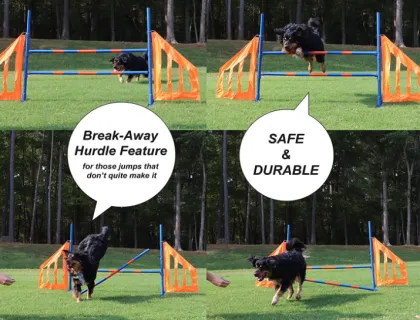 Dog Agility Jump Set