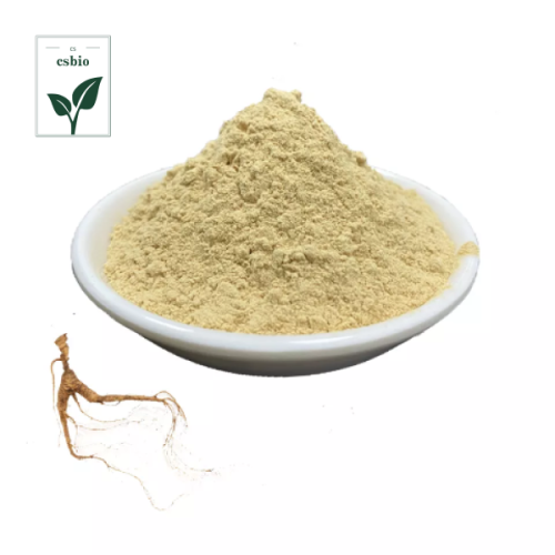 Hot Sale Ginseng Extract Powder