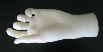 Realistic plastic mannequin hand models