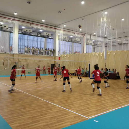 7 mm multiuso con pallavolo sul pavimento