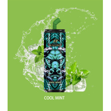 AIM-ganador 6000 bocanadas recargables vape al por mayor de Europa