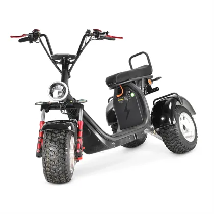 Sunra Electric Express Tricycle: Professional Manufacturer's 4000W Recreational Electric Tricycle
