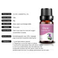 Certified organic natural clove oil for aromatherapy