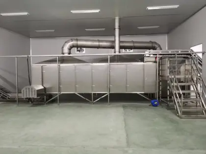 Coated Cashew Production Line