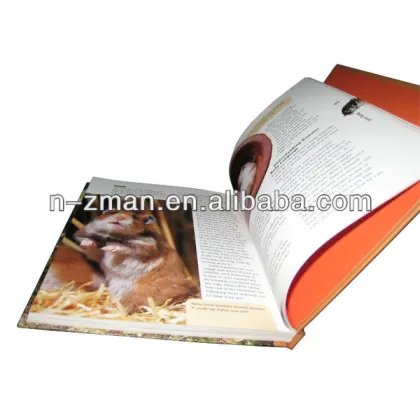 Printed Book,Book,Kids Book