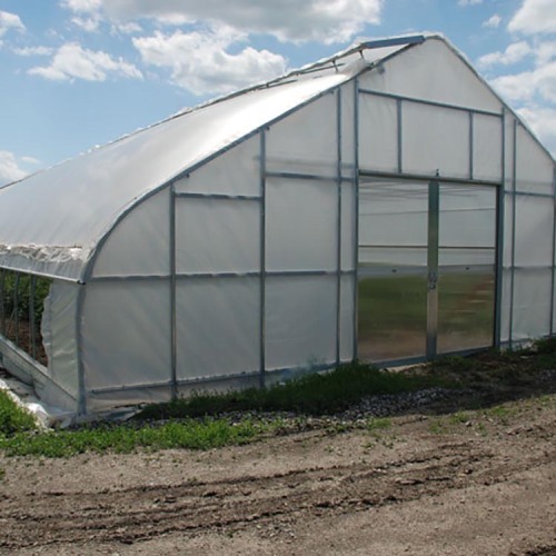 Invernadero gótico de un solo tramo para verduras y flores