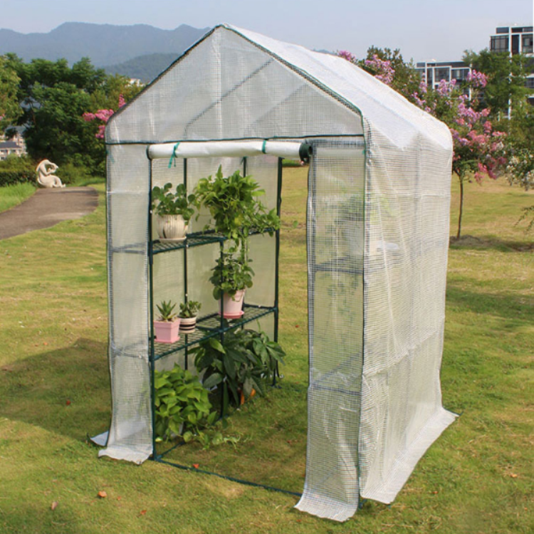 Garden Mini Greenhouse Cover With Transparent/Green Cover