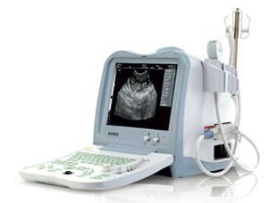 Full Digital B Mode Ultrasonic Diagnostic Scanner (SP260)