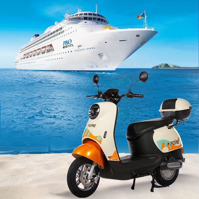 2025 Small Tortoise Electric Bike 60V Standard Adult Motorcycle