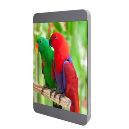 Wireless Street Light P4 LED Display Screen for Outdoor Lighting