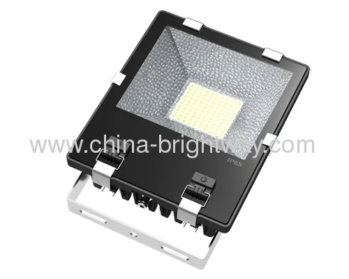 100w Ip65 Led Flood Light Ce Rohs Certificate 