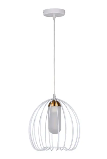 Modern Industrial  Copper Metal Cage Wire