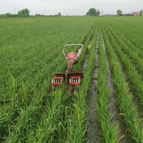 Rice Field Weeding Machine Price