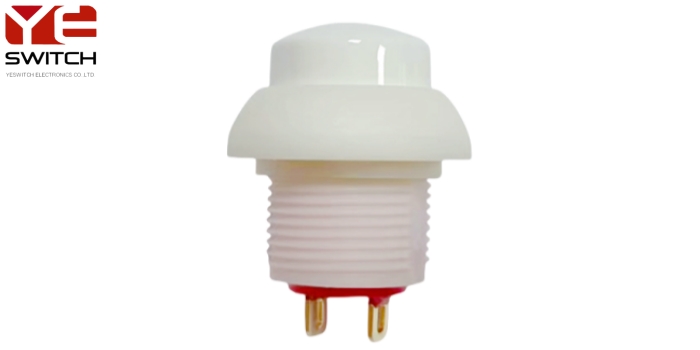 push button switch (1) push button switch (1)