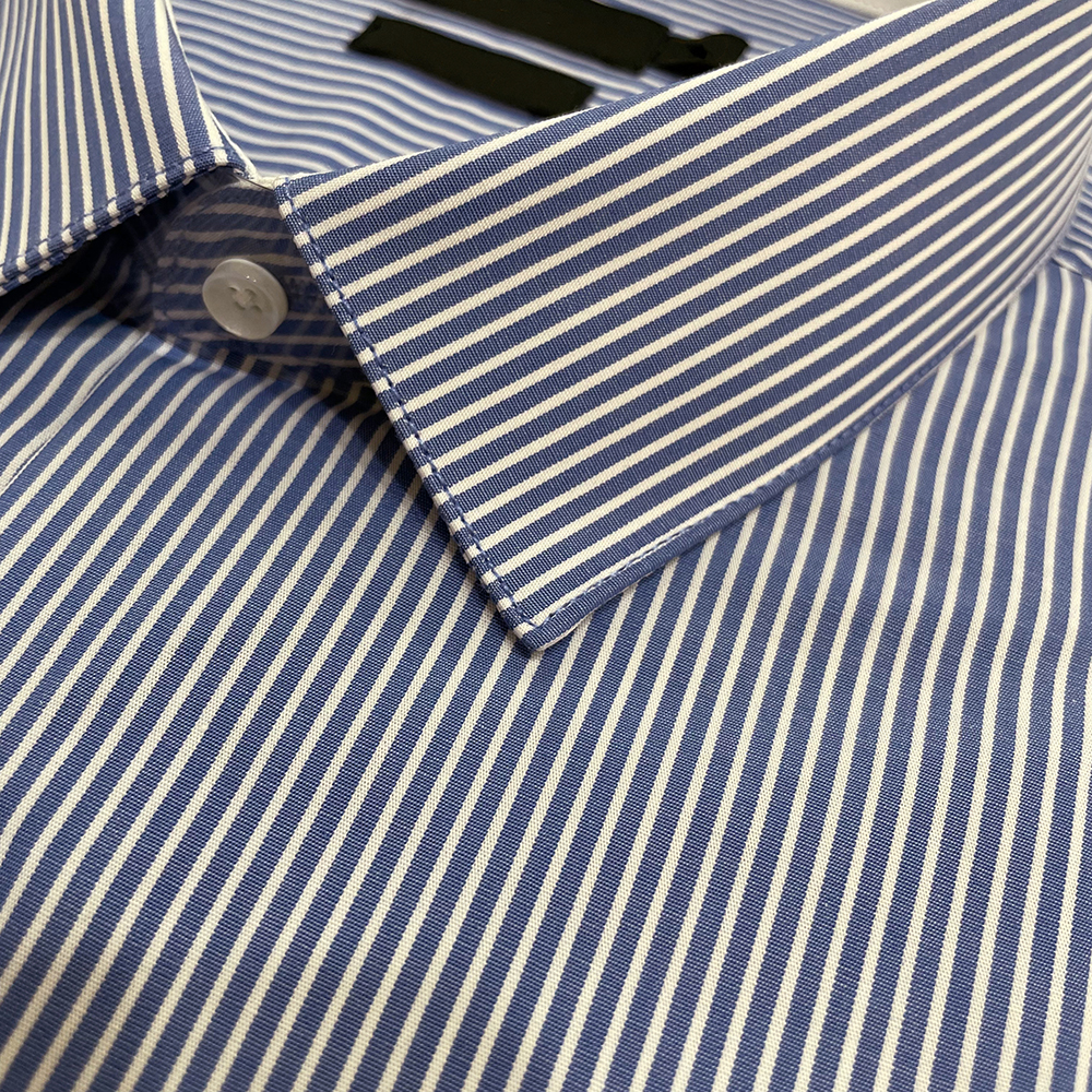 Blue Stand Up Collar