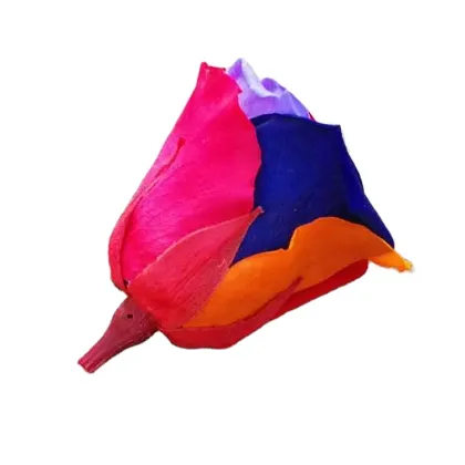 Best Gift: Forever Preserved Colorful Rose Bouquet