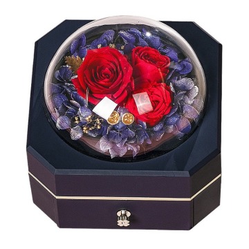 A1 San Valentino Eterno Flower Box Ring a sospensione Gift Bottle Box Octagonal Single String Crower Gioielli Box